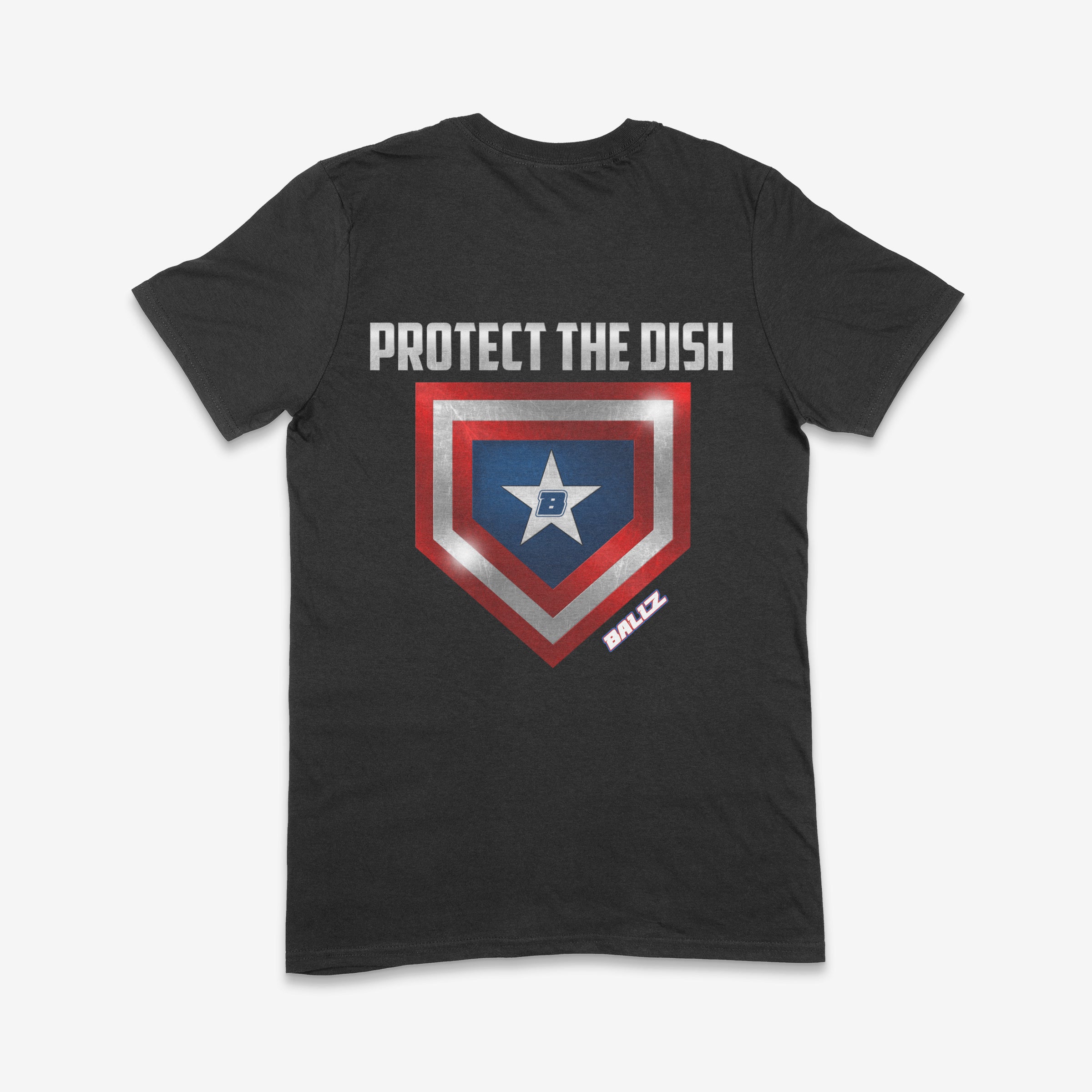 Protect the Dish (Black) Main image