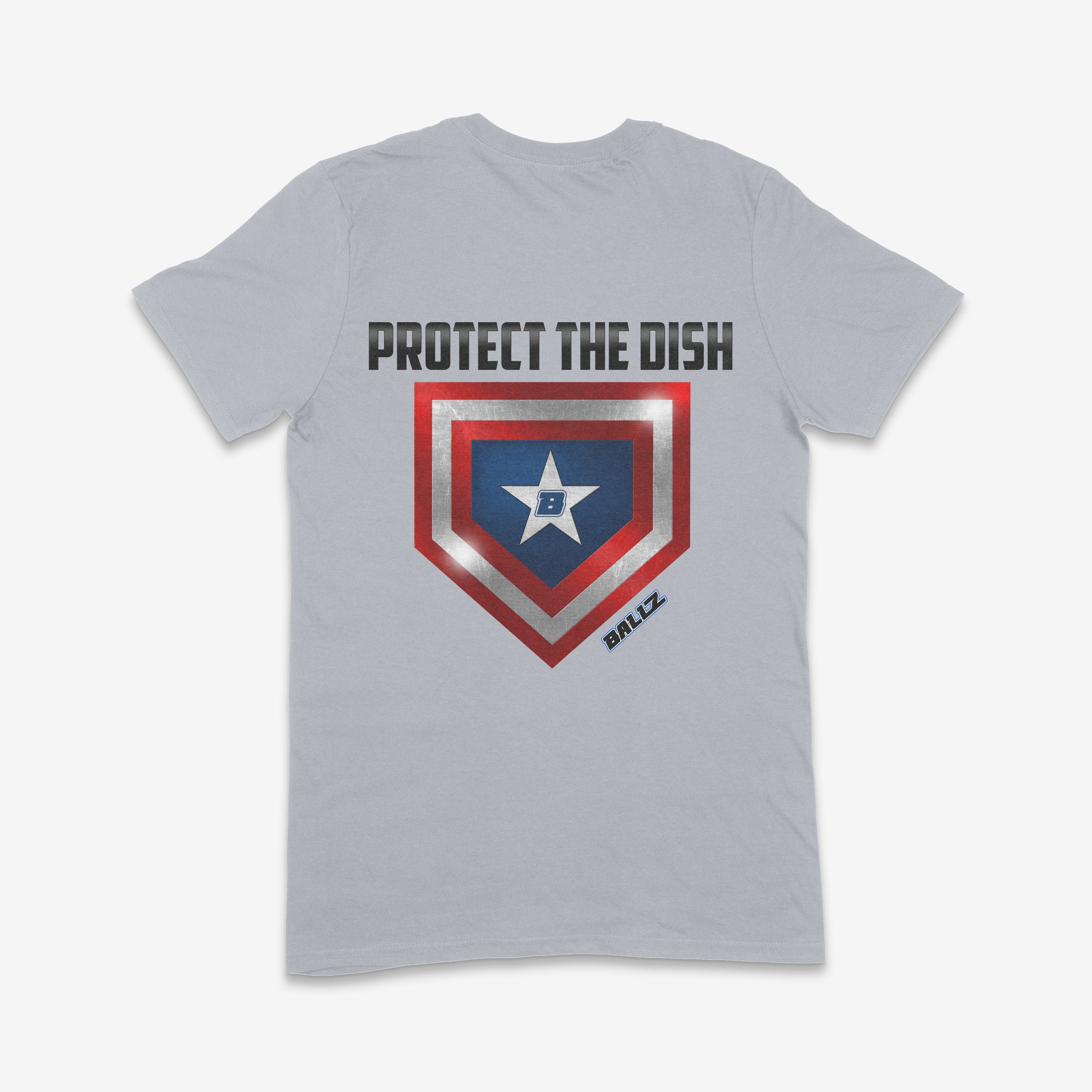Protect the Dish (Grey) Main image