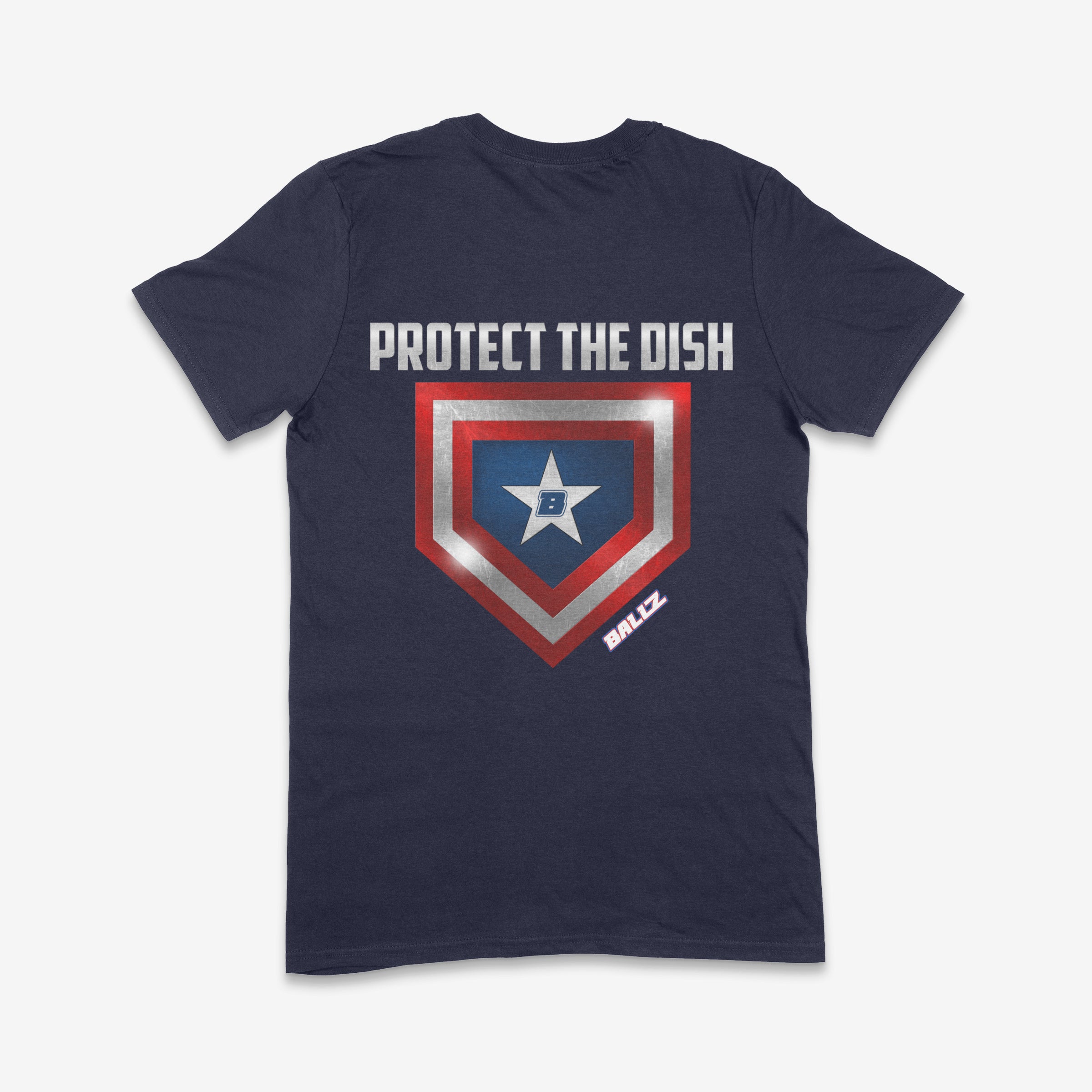 Protect the Dish (Navy Blue) Main image