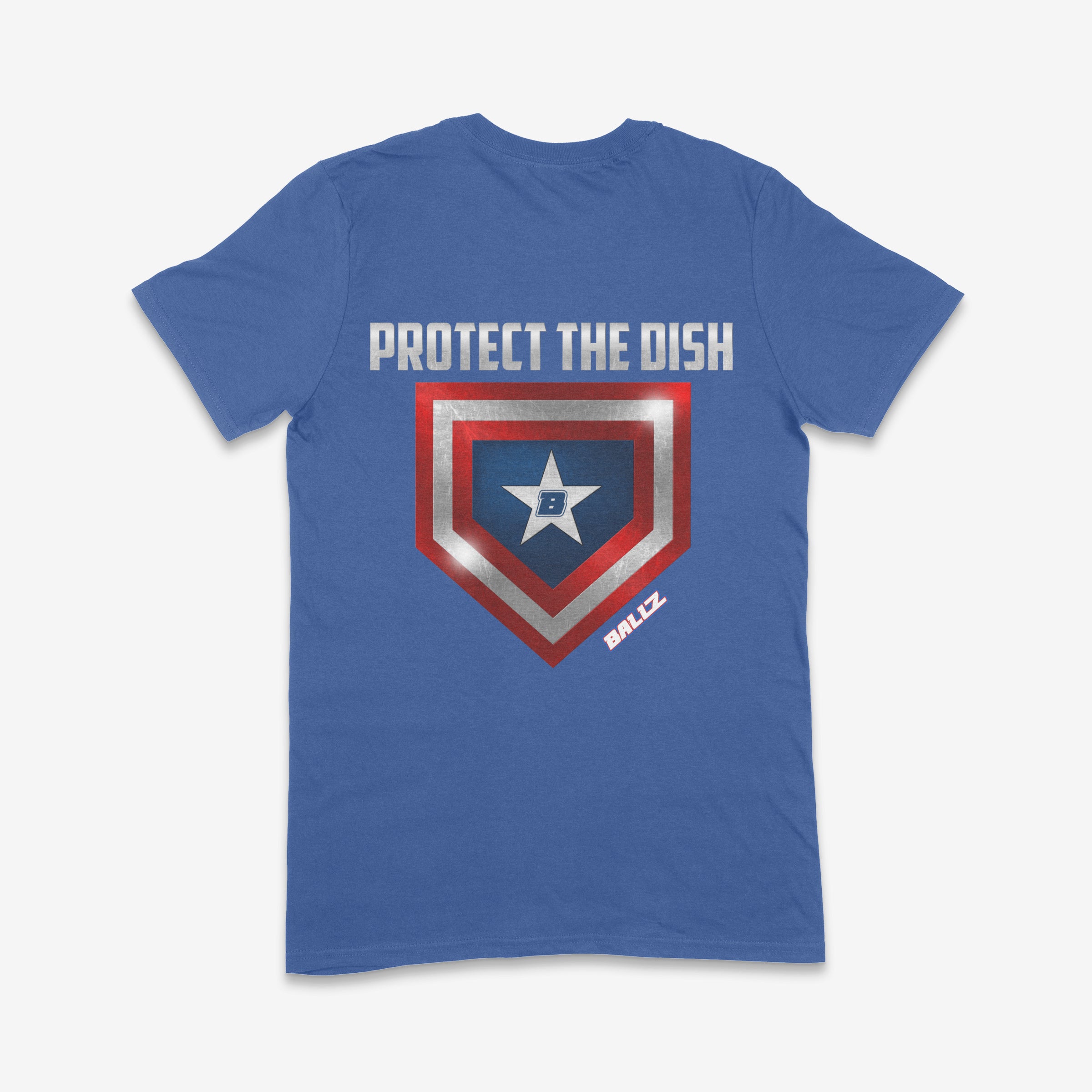 Protect the Dish (Royal Blue) Main image